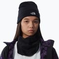 Pánska trekingová čiapka The North Face Norm Beanie black 3