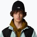 Pánska trekingová čiapka The North Face Norm Beanie black 4