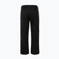 Pánske lyžiarske nohavice The North Face Chakal black NF0A5IYVJK31 6