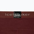 Dámske termo nohavice Icebreaker 200 Oasis brown IB1043830641 10
