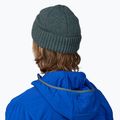 Patagonia Brodeo zimná čiapka fitz roy icon/nouveau green 3
