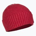 Patagonia Brodeo Beanie fun hogs armadillo/touring červená treková čiapka