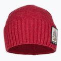 Patagonia Brodeo Beanie fun hogs armadillo/touring červená treková čiapka 2