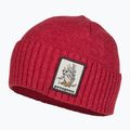Patagonia Brodeo Beanie fun hogs armadillo/touring červená treková čiapka 3