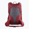 Salomon Trailblazer 3 l turistický batoh Aura Orange/Biking Red LC2599 2