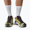 Salomon XA Pro 3D V9 GTX pánska bežecká obuv black/butter /lapis 4