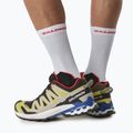Salomon XA Pro 3D V9 GTX pánska bežecká obuv black/butter /lapis 5