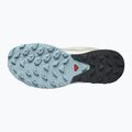 Dámske trekové topánky Salomon Outrise GTX beige L47142700 16