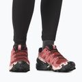 Salomon Speedcross 6 dámska bežecká obuv cow hide/black/english rose 4