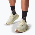 Pánske bežecké topánky Salomon Thundercross asphalt/sharkskin/spray 11