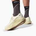 Pánske bežecké topánky Salomon Thundercross asphalt/sharkskin/spray 12