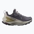 Dámske turistické topánky Salomon Elixir GTX 9 nine iron/silver cloud/sponge 9