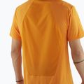 Pánske tričko Salomon Outline Tee turmeric 3
