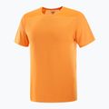 Pánske tričko Salomon Outline Tee turmeric 4