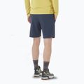 Pánske šortky Salomon Wayfarer Ease blue 2