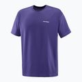 Pánske tričko Salomon Logo RX Tee astral 4