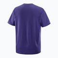 Pánske tričko Salomon Logo RX Tee astral 5