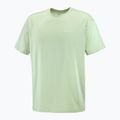 Pánske tričko Salomon Logo RX Tee sea foam 4