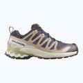 Dámske bežecké topánky Salomon XA Pro 3D V9 GTX nine iron/oxford tan