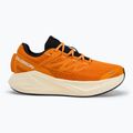 Pánske bežecké topánky Salomon Aero Glide 3 turmeric/white/black 2