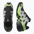 Pánske bežecké topánky Salomon Speedcross 6 GTX black/alloy/green gecko 6