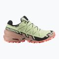 Salomon Speedcross 6 GTX dámska bežecká obuv lime cream/mahogany rose/black 2