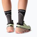 Dámske bežecké topánky Salomon Speedcross 6 GTX lime cream/mahogany rose/black 8