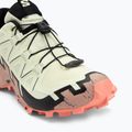 Dámske bežecké topánky Salomon Speedcross 6 GTX lime cream/mahogany rose/black 7