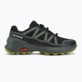 Pánske bežecké topánky Salomon Speedcross Peak GTX black/urban chic/dark citron 2