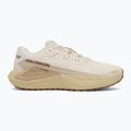 Pánske bežecké topánky Salomon Drx Defy GRVL vanilla ice/green haze/white pepper 2