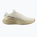 Pánske bežecké topánky Salomon Drx Defy GRVL vanilla ice/green haze/white pepper 8