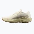 Pánske bežecké topánky Salomon Drx Defy GRVL vanilla ice/green haze/white pepper 9