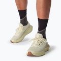 Pánske bežecké topánky Salomon Drx Defy GRVL vanilla ice/green haze/white pepper 11