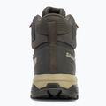 Pánske trekové topánky Salomon X Ultra 5 MID GTX peat / gray green / blue nights 6