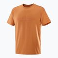 Pánske tričko Salomon Big Logo Tee sierra 4