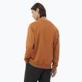 Pánska mikina Salomon Logo Crewneck sierra 2