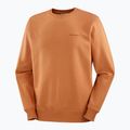 Pánska mikina Salomon Logo Crewneck sierra 5