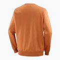 Pánska mikina Salomon Logo Crewneck sierra 6