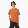 Pánske tričko Salomon Logo Tee sierra