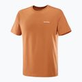 Pánske tričko Salomon Logo Tee sierra 4