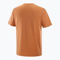 Pánske tričko Salomon Logo Tee sierra 5