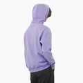 Pánska mikina Salomon Logo Hoodie violet tulip 2