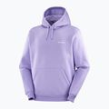 Pánska mikina Salomon Logo Hoodie violet tulip 3