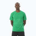Pánske bežecké tričko Salomon Sense Aero Tee GFX parakeet / spearmintme