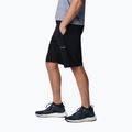 Columbia Triple Canyon II pánske trekingové šortky black 2030801010 3