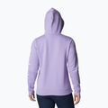 Columbia Trek Graphic Hooded Purple Dámska trekingová mikina 1959881 2