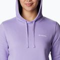 Columbia Trek Graphic Hooded Purple Dámska trekingová mikina 1959881 3