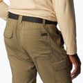 Pánske trekové nohavice Columbia Silver Ridge Utility Convertible stone green 5