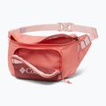 Ľadvinka Columbia Zigzag Hip Pack faded peach/beetroot 3