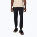 Pánske trekingové nohavice Columbia Hike Jogger II black